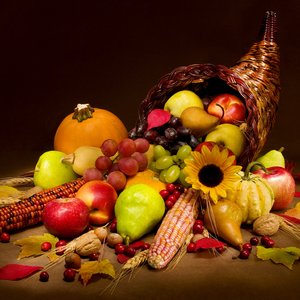 Стихи на День благодарения Богу за жатву.